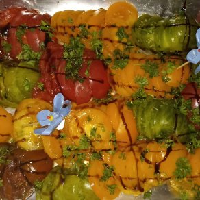 cpe_dete_2_-_salade